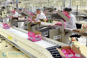 dich vu sua chua bao tri bang tai