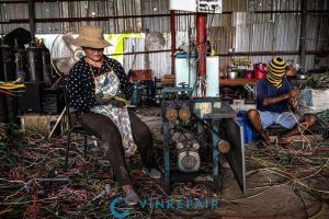 tai che rac thai dien tu trai phep